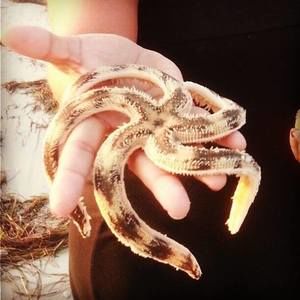 Meet your Posher, Shannon